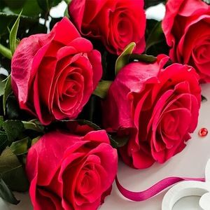 Meet your Posher, Zaza